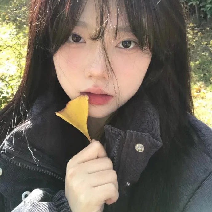 推荐5