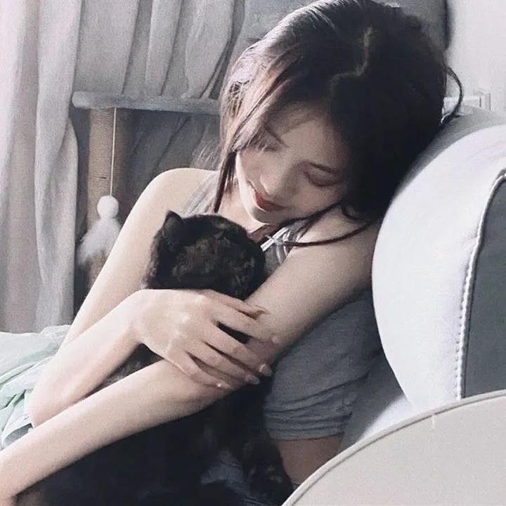 照片8